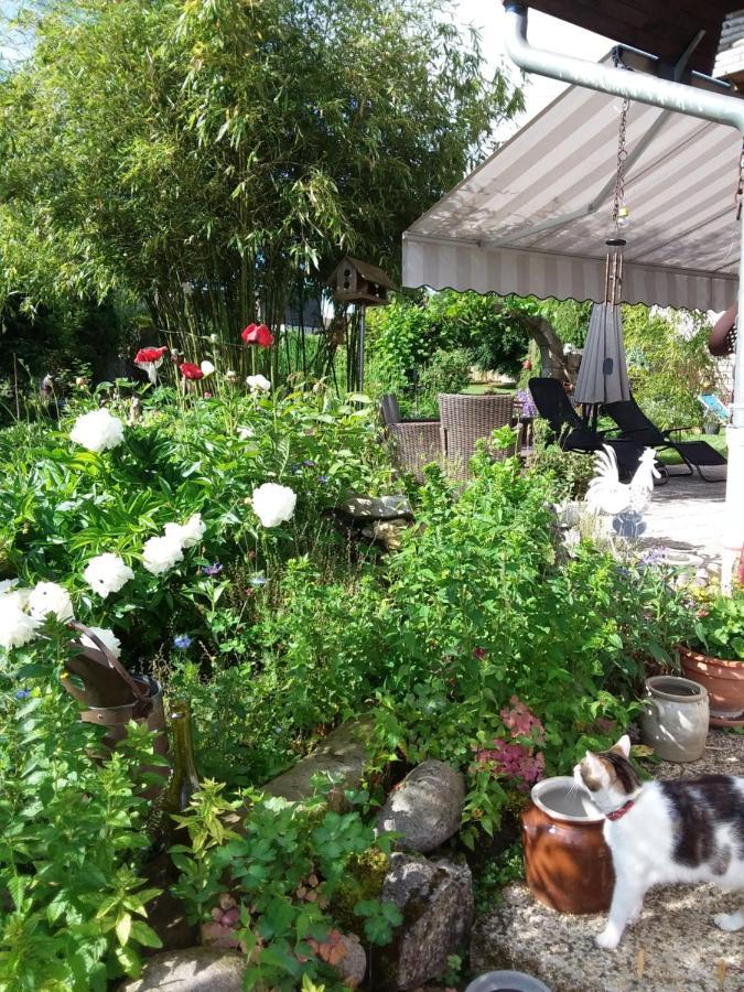 Le Grive Bed & Breakfast Chevremont Luaran gambar