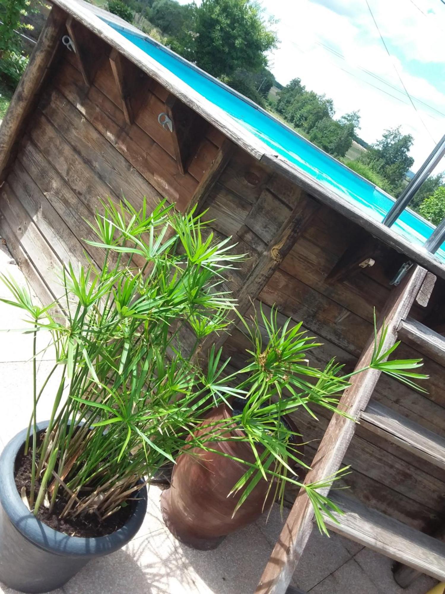 Le Grive Bed & Breakfast Chevremont Luaran gambar